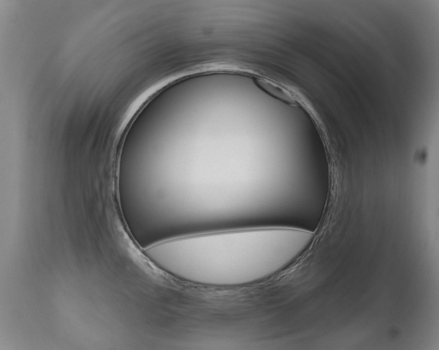 X0000112521148200908171106