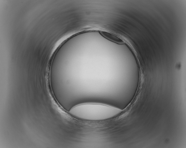 X0000112521149200908171106