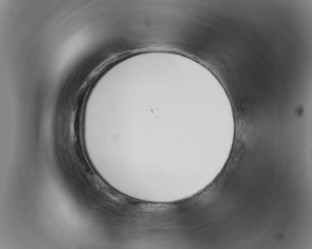 X0000112521150200908171106