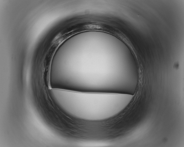 X0000112521151200908171106