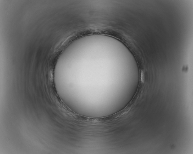 X0000112521155200908171105