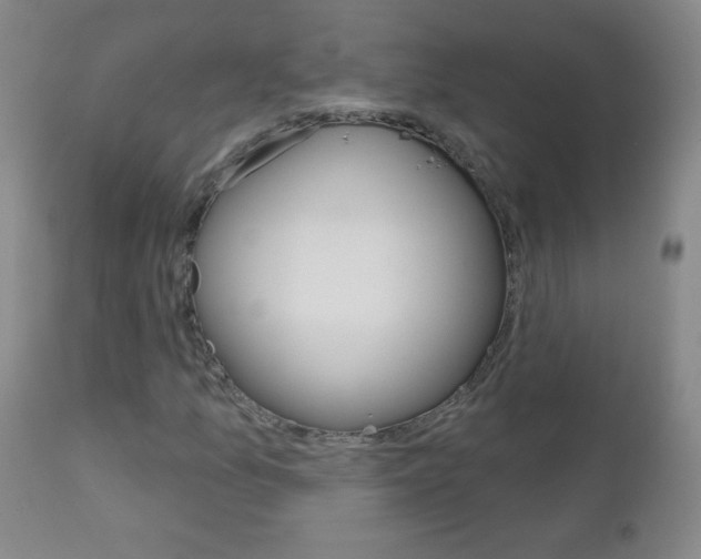 X0000112521157200908171105