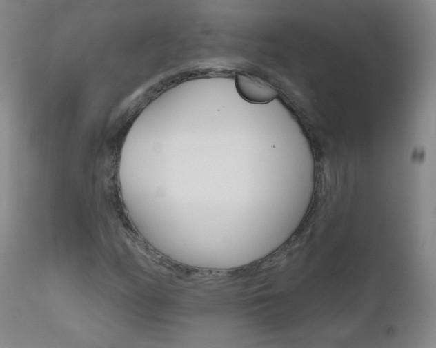 X0000112521158200908171105