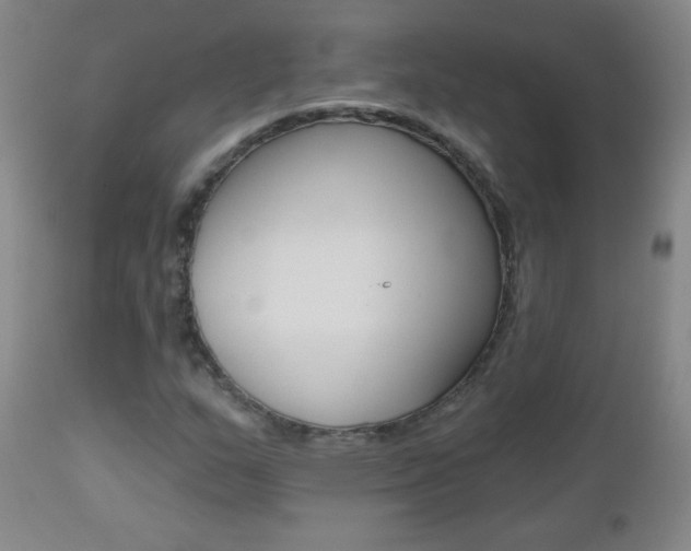 X0000112521159200908171105