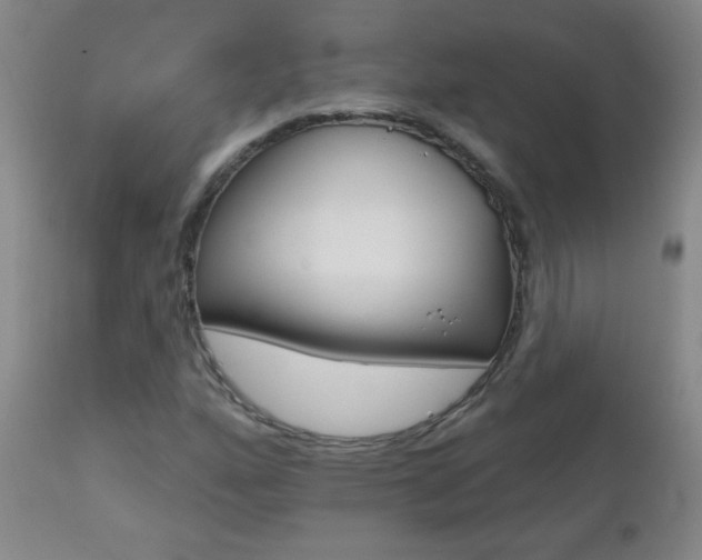 X0000112521160200908171105