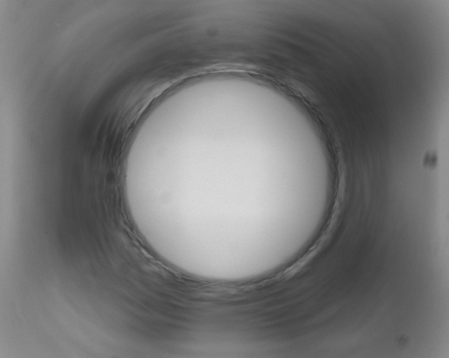 X0000112521161200908171105