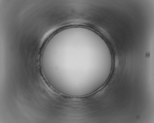 X0000112521164200908171105