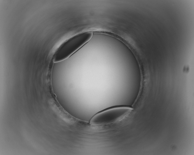 X0000112521173200908171105