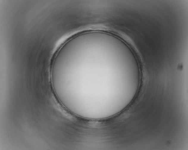 X0000112521176200908171105