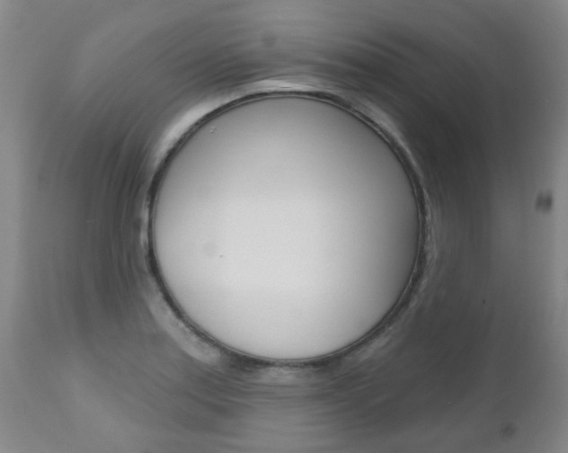 X0000112521179200908171105