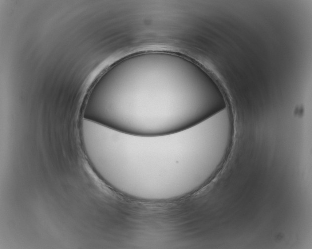 X0000112521181200908171105