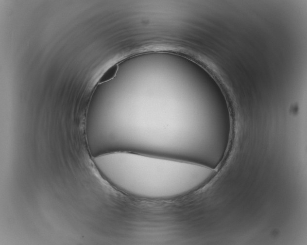 X0000112521185200908171105
