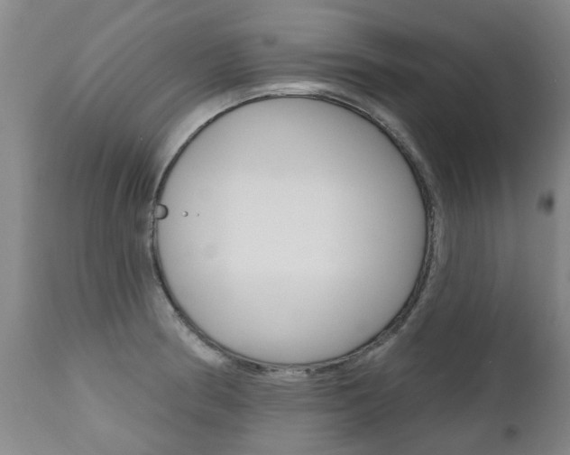X0000112521186200908171105