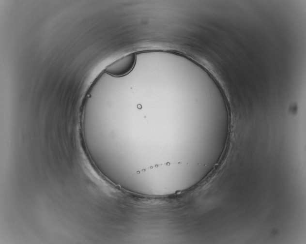 X0000112521187200908171104