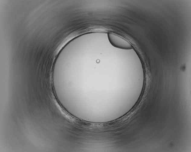 X0000112521194200908171104