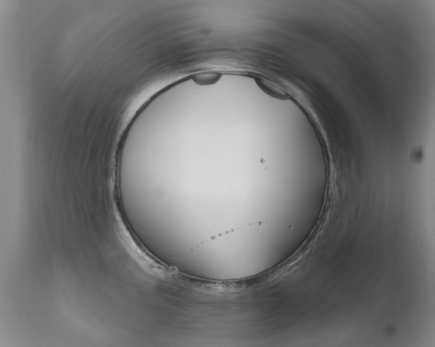 X0000112521195200908171104