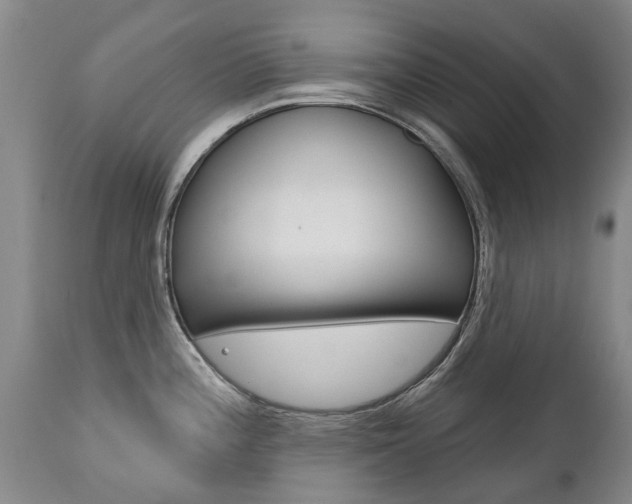 X0000112521196200908171104
