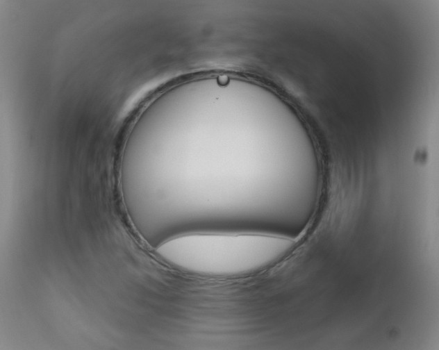 X0000112521214200908171104