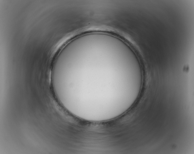 X0000112521221200908171104