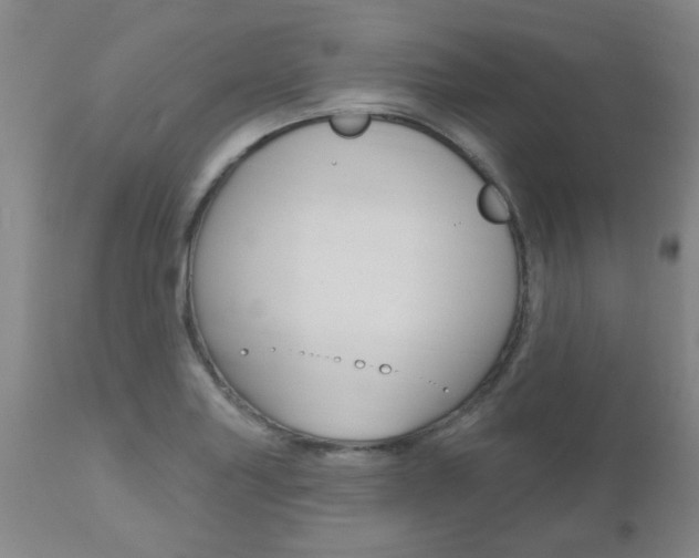 X0000112521227200908171104