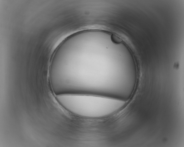X0000112521228200908171104
