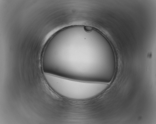 X0000112521230200908171104