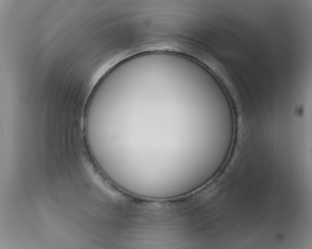 X0000112521234200908171104