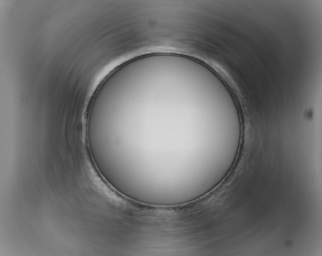 X0000112521238200908171104
