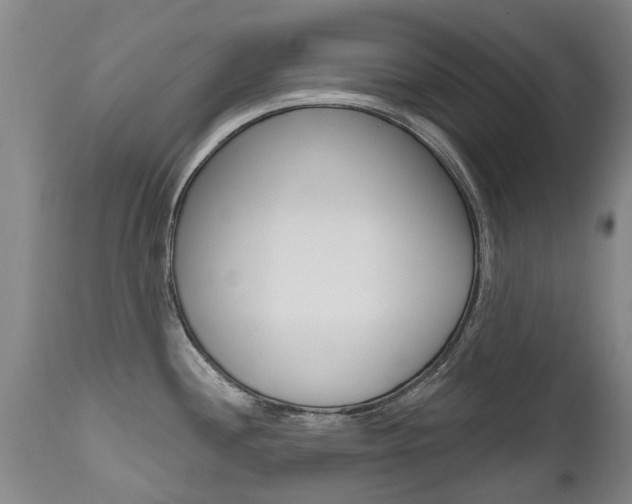 X0000112521244200908171104