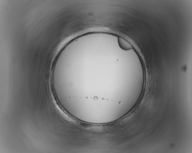X0000112521245200908171104