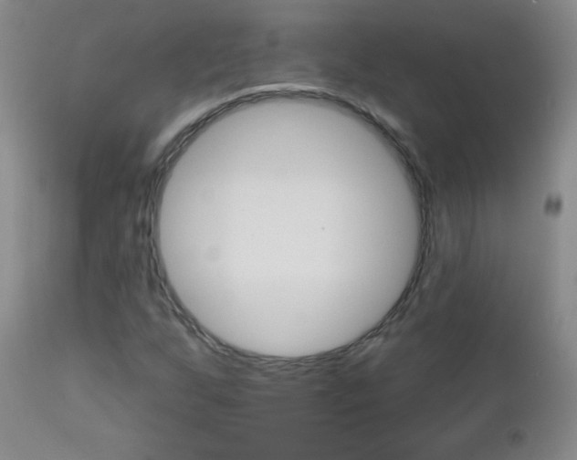 X0000112521255200908171104