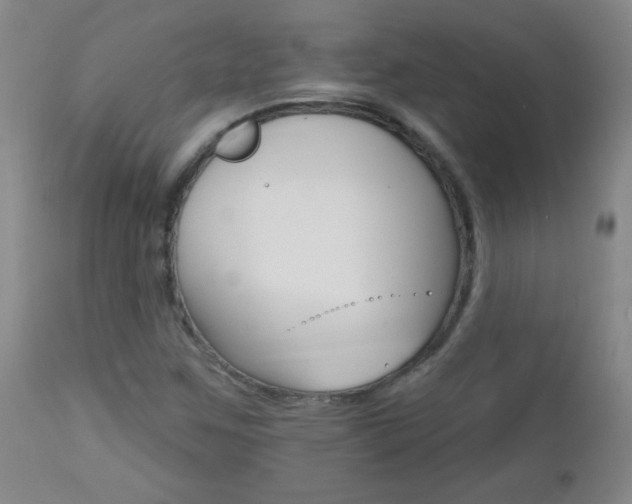 X0000112521259200908171103