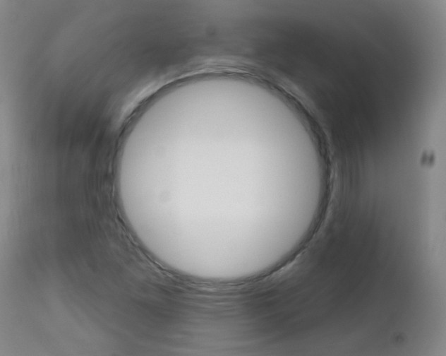 X0000112521261200908171103