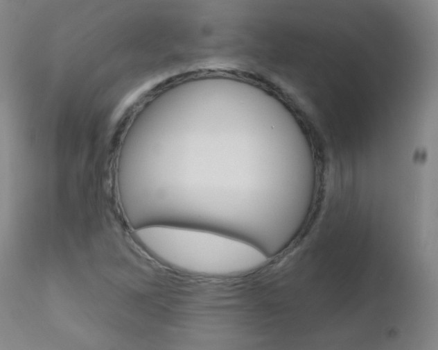 X0000112521262200908171103