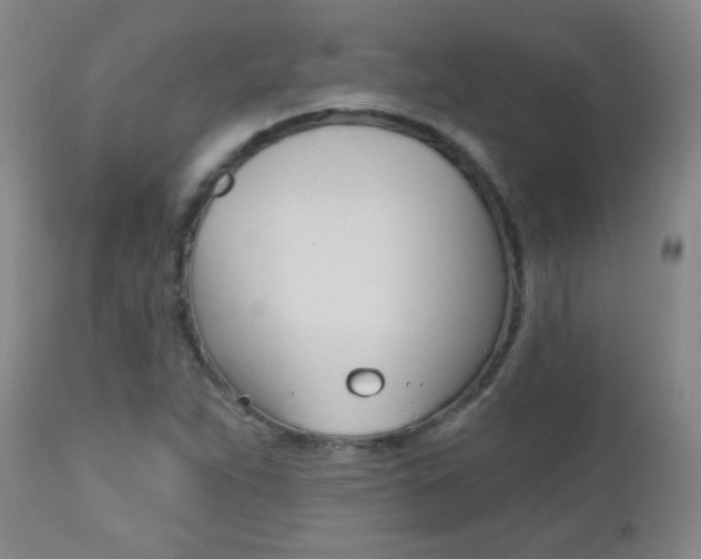 X0000112521263200908171103