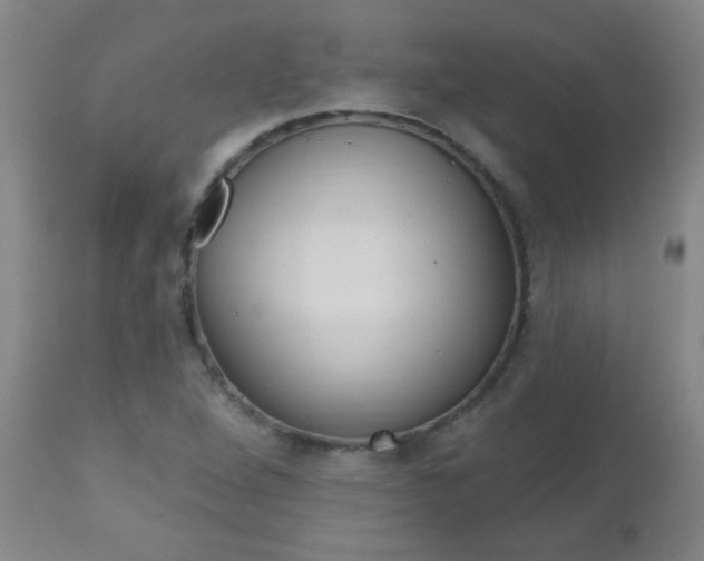 X0000112521264200908171103