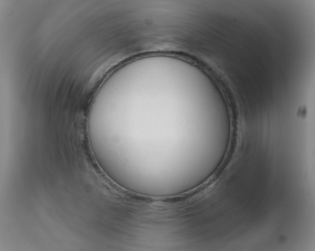 X0000112521265200908171103