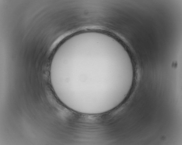 X0000112521266200908171103