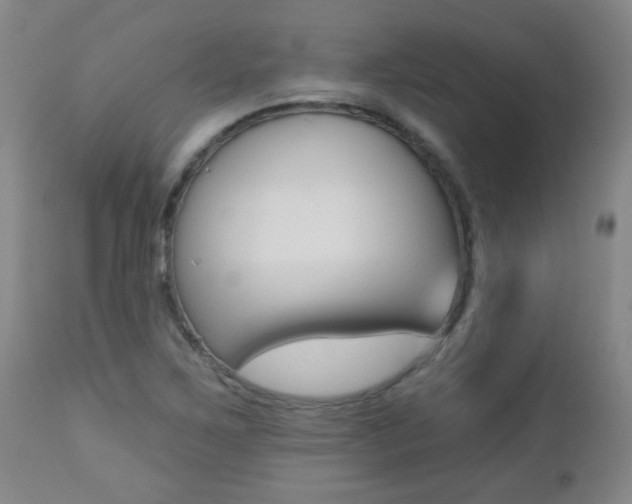 X0000112521267200908171103