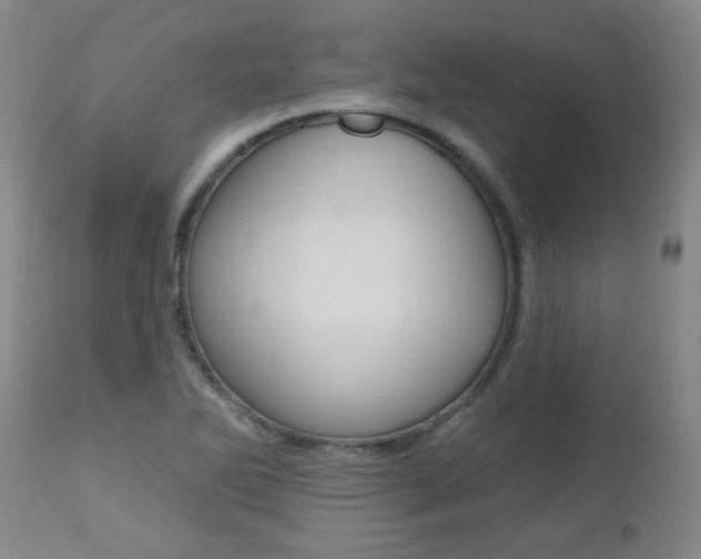 X0000112521270200908171103