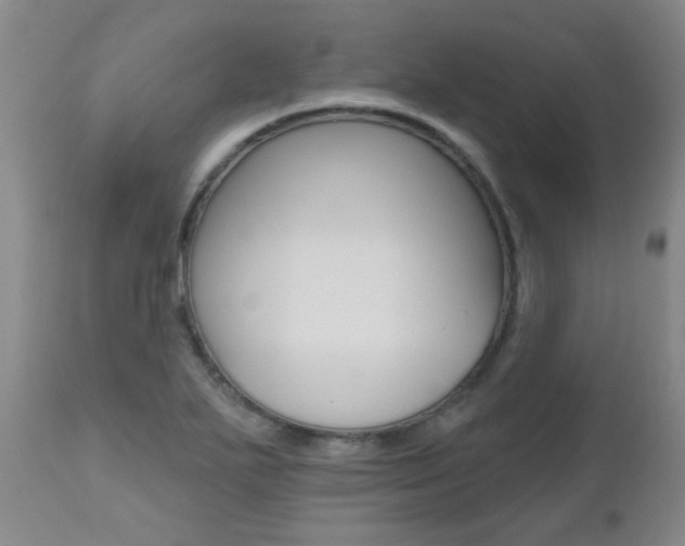 X0000112521271200908171103