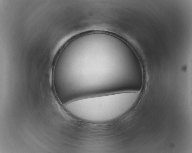 X0000112521272200908171103
