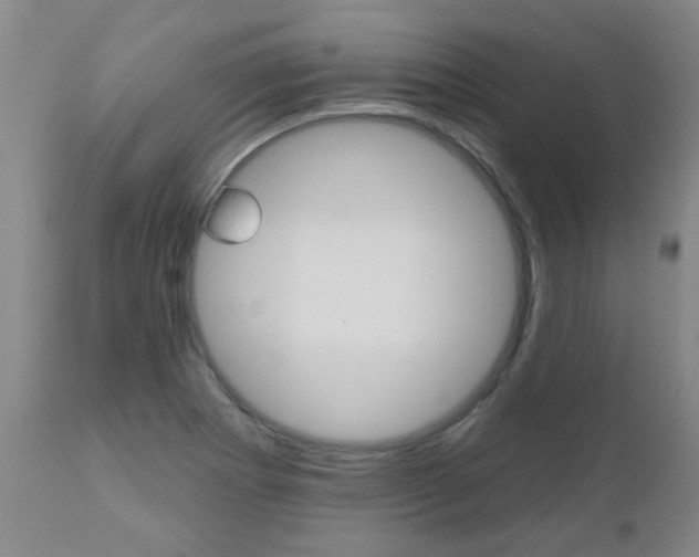 X0000112521273200908171103