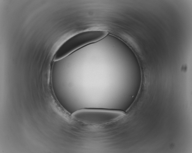 X0000112521276200908171103