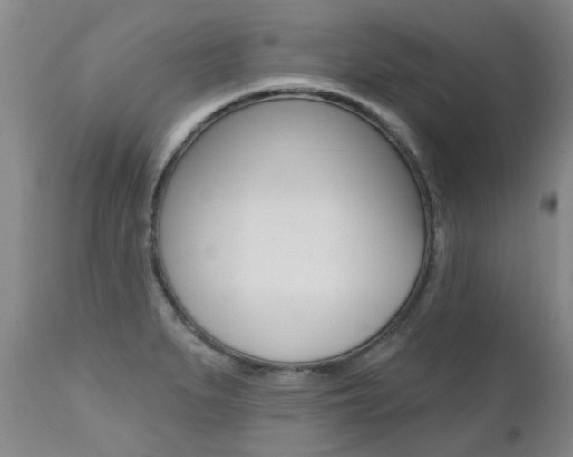 X0000112521279200908171103