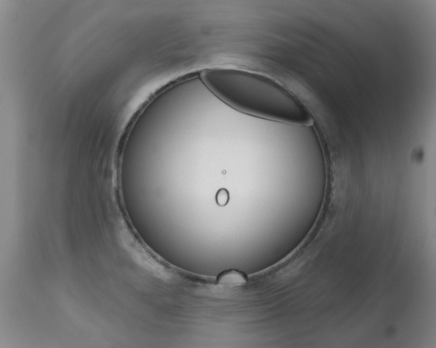 X0000112521280200908171103
