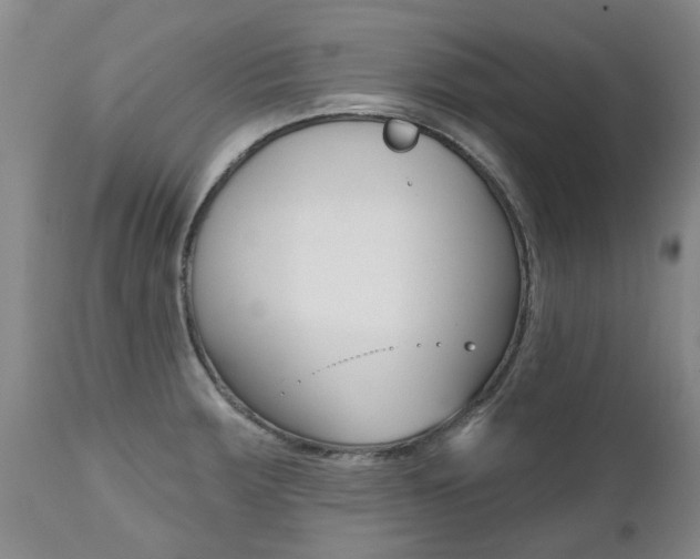 X0000112521283200908171103
