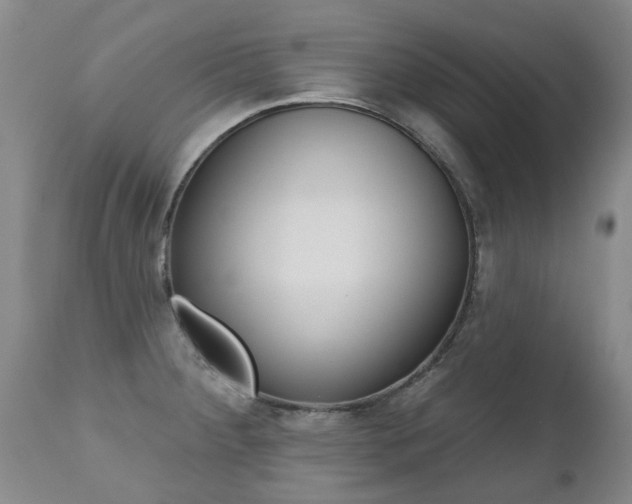 X0000112521284200908171103