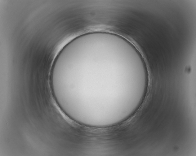 X0000112521285200908171103