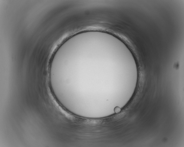 X0000112521286200908171103